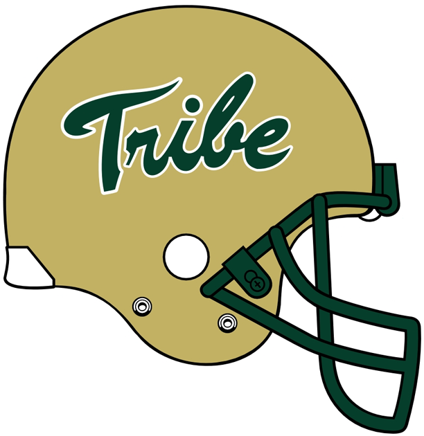 William and Mary Tribe 2009-Pres Helmet Logo iron on transfers for clothing